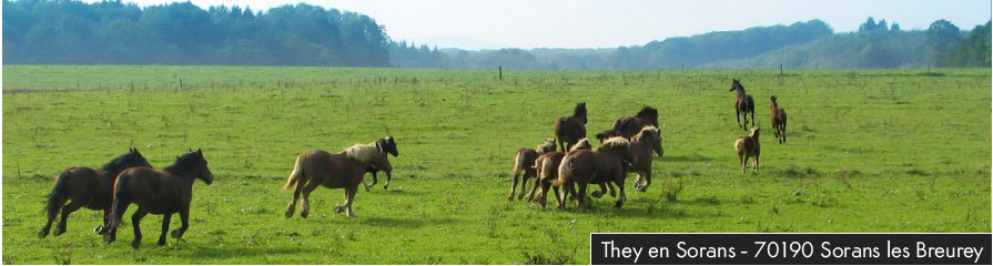 Ferme Bio de They