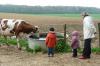 Tout près des animaux de la ferme bio de They